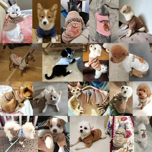 Autumn Dog Hoodies Cute Print Dog Clothing Fashion Puppy Sweatshirt Cartoon Bear Cat Hoodies Pet Pullovers Bichon Frise Costumes